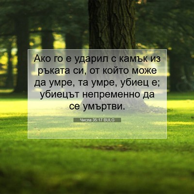 Picture 07 - Числа 35:17 BULG - Ако го е ударил с камък из - Bible Verse Picture