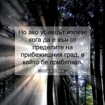 Picture 07 - Числа 35:26 BULG - Но ако убиецът излезе кога - Bible Verse Picture
