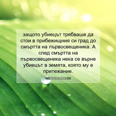 Picture 07 - Числа 35:28 BULG - защото убиецът трябваше да - Bible Verse Picture