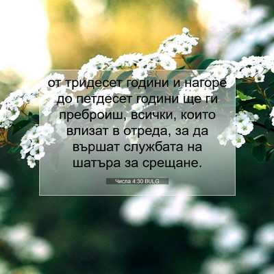 Picture 07 - Числа 4:30 BULG - от тридесет години и - Bible Verse Picture