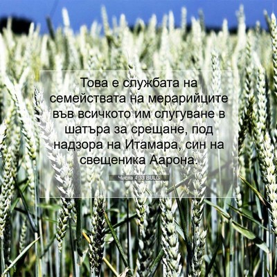 Picture 07 - Числа 4:33 BULG - Това е службата на - Bible Verse Picture