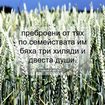 Picture 07 - Числа 4:44 BULG - преброени от тях по - Bible Verse Picture