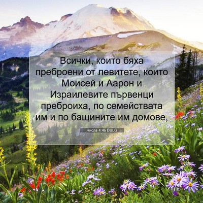 Picture 07 - Числа 4:46 BULG - Всички, които бяха - Bible Verse Picture