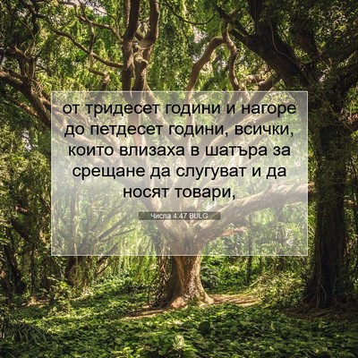 Picture 07 - Числа 4:47 BULG - от тридесет години и - Bible Verse Picture