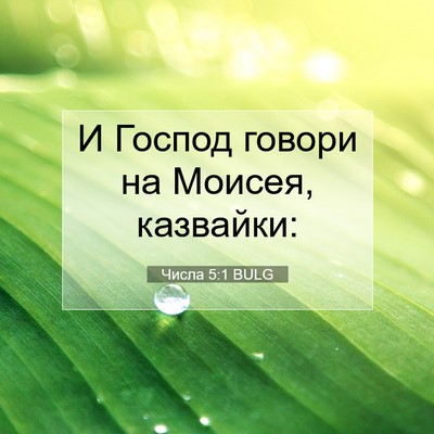Picture 07 - Числа 5:1 BULG - И Господ говори на Моисея, - Bible Verse Picture