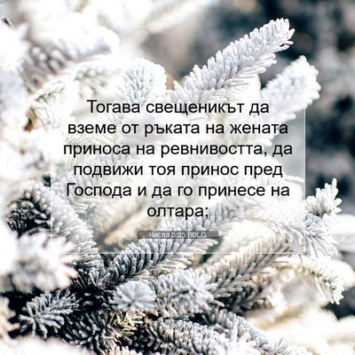 Picture 07 - Числа 5:25 BULG - Тогава свещеникът да вземе - Bible Verse Picture