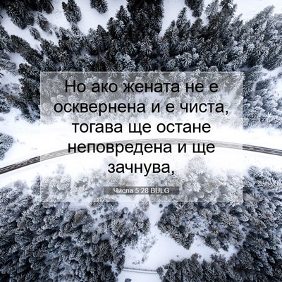 Picture 07 - Числа 5:28 BULG - Но ако жената не е - Bible Verse Picture