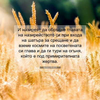Picture 07 - Числа 6:18 BULG - И назиреят да обръсне - Bible Verse Picture