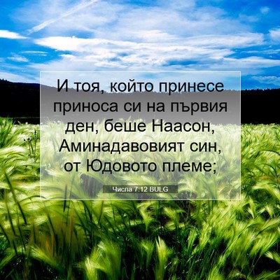 Picture 07 - Числа 7:12 BULG - И тоя, който принесе - Bible Verse Picture