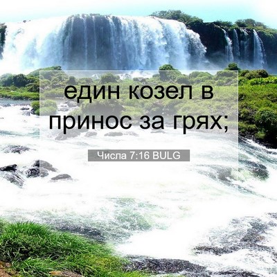 Picture 07 - Числа 7:16 BULG - един козел в принос за - Bible Verse Picture