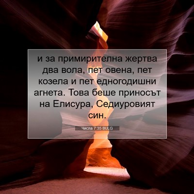 Picture 07 - Числа 7:35 BULG - и за примирителна жертва - Bible Verse Picture