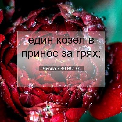 Picture 07 - Числа 7:40 BULG - един козел в принос за - Bible Verse Picture