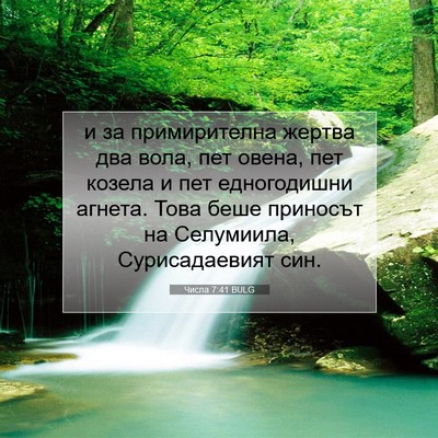 Picture 07 - Числа 7:41 BULG - и за примирителна жертва - Bible Verse Picture
