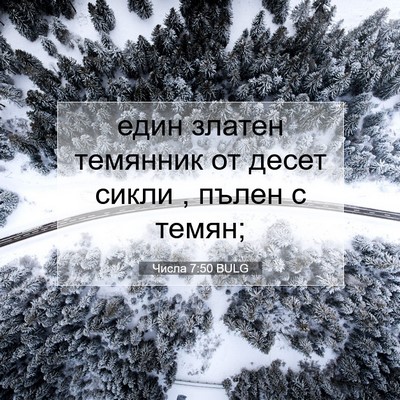 Picture 07 - Числа 7:50 BULG - един златен темянник от - Bible Verse Picture