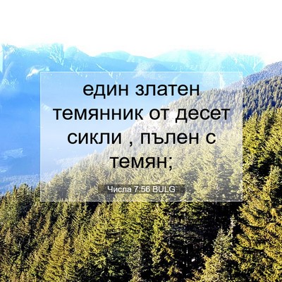 Picture 07 - Числа 7:56 BULG - един златен темянник от - Bible Verse Picture
