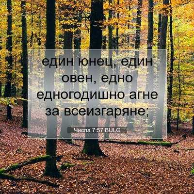 Picture 07 - Числа 7:57 BULG - един юнец, един овен, едно - Bible Verse Picture