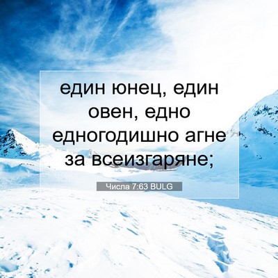 Picture 07 - Числа 7:63 BULG - един юнец, един овен, едно - Bible Verse Picture