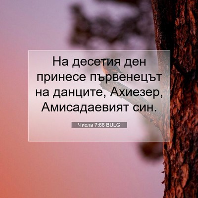 Picture 07 - Числа 7:66 BULG - На десетия ден принесе - Bible Verse Picture