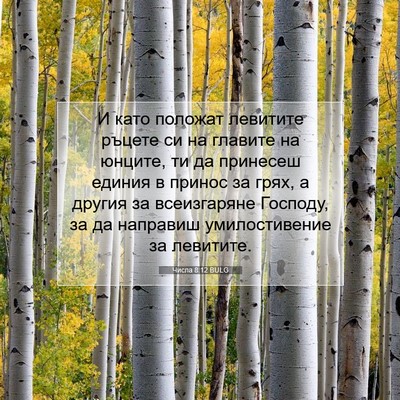 Picture 07 - Числа 8:12 BULG - И като положат левитите - Bible Verse Picture