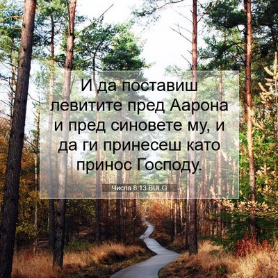 Picture 07 - Числа 8:13 BULG - И да поставиш левитите - Bible Verse Picture