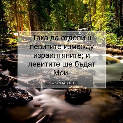 Picture 07 - Числа 8:14 BULG - Така да отделиш левитите - Bible Verse Picture