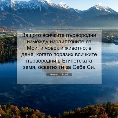 Picture 07 - Числа 8:17 BULG - Защото всичките - Bible Verse Picture