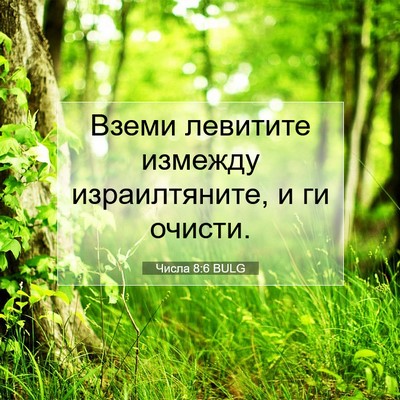 Picture 07 - Числа 8:6 BULG - Вземи левитите измежду - Bible Verse Picture