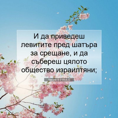 Picture 07 - Числа 8:9 BULG - И да приведеш левитите - Bible Verse Picture