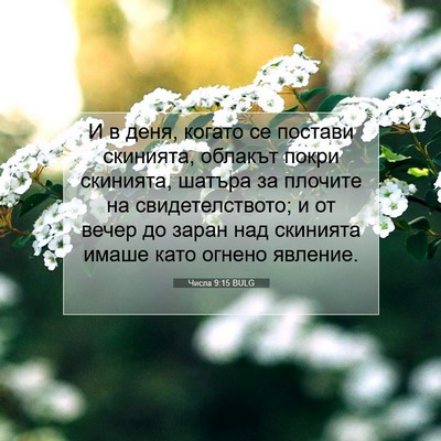 Picture 07 - Числа 9:15 BULG - И в деня, когато се постави - Bible Verse Picture