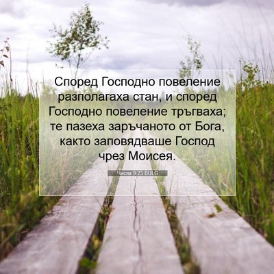 Picture 07 - Числа 9:23 BULG - Според Господно повеление - Bible Verse Picture