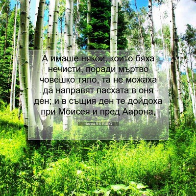 Picture 07 - Числа 9:6 BULG - А имаше някои, които бяха - Bible Verse Picture