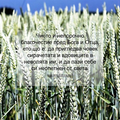 Picture 07 - Яков 1:27 BULG - Чисто и непорочно - Bible Verse Picture