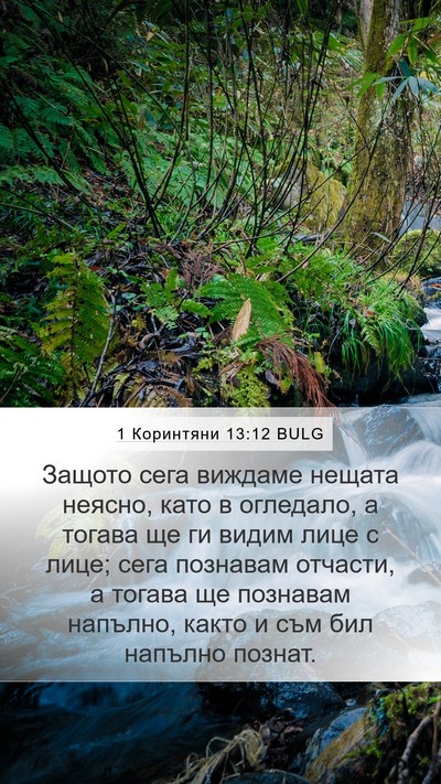 1 Коринтяни 13:12 BULG Bible Verse Image