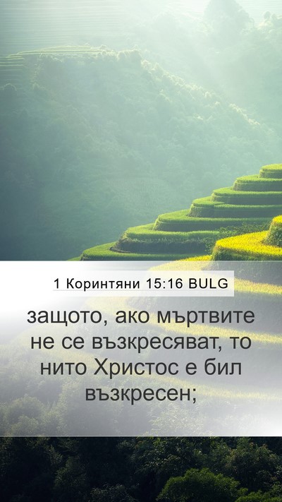 1 Коринтяни 15:16 BULG Bible Verse Image