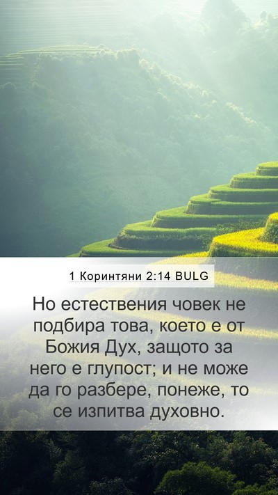 1 Коринтяни 2:14 BULG Bible Verse Image