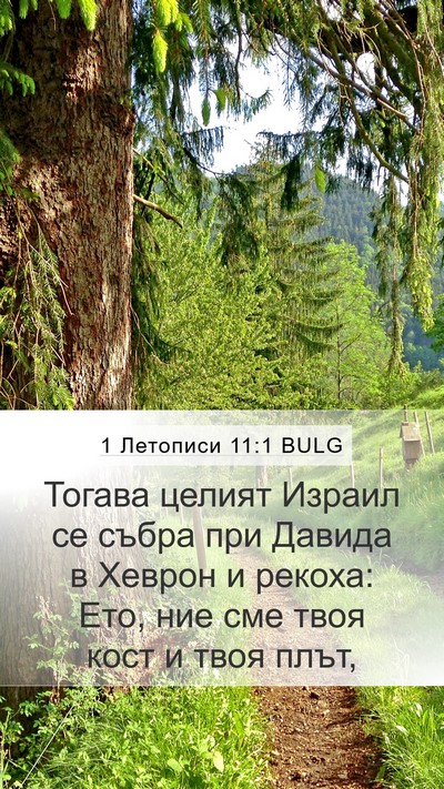 1 Летописи 11:1 BULG Bible Verse Image