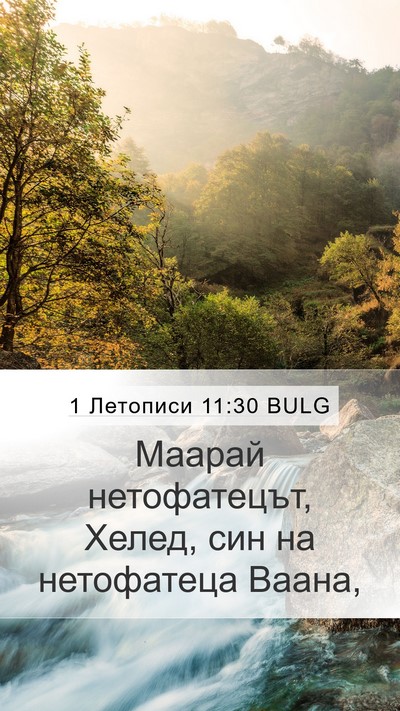 1 Летописи 11:30 BULG Bible Verse Image