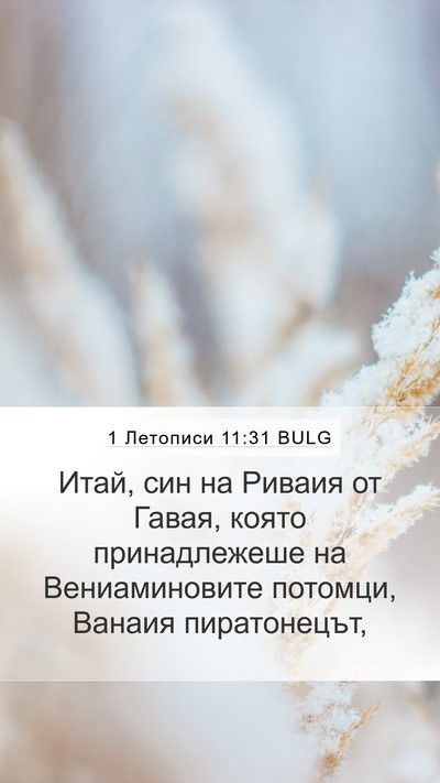 1 Летописи 11:31 BULG Bible Verse Image