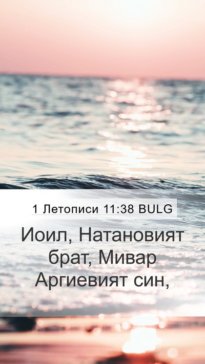 1 Летописи 11:38 BULG Bible Verse Image