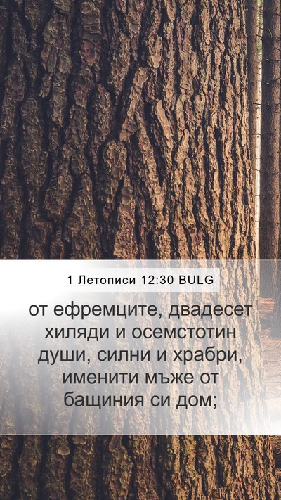 1 Летописи 12:30 BULG Bible Verse Image