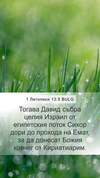 1 Летописи 13:5 BULG Bible Verse Image