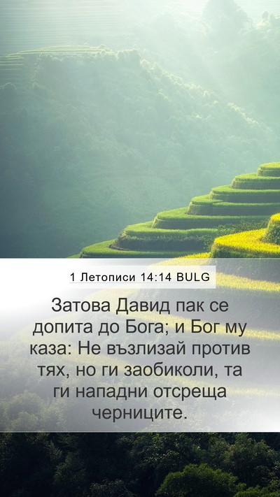 1 Летописи 14:14 BULG Bible Verse Image