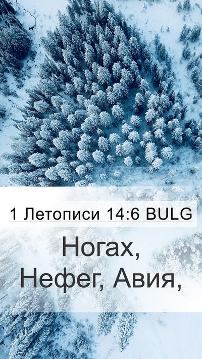1 Летописи 14:6 BULG Mobile Phone Wallpaper - Ногах, Нефег, - Mobile Bible Verse Wallpaper