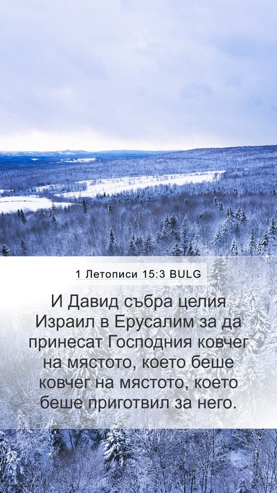 1 Летописи 15:3 BULG Bible Verse Image