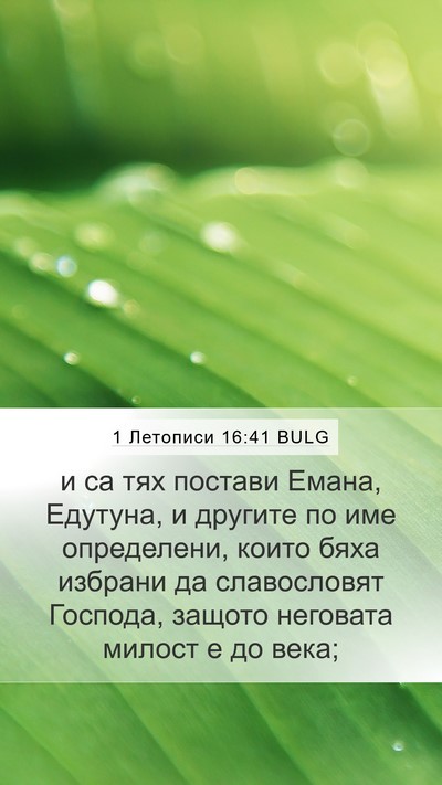 1 Летописи 16:41 BULG Bible Verse Image
