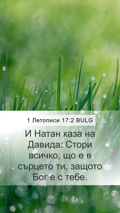 1 Летописи 17:2 BULG Mobile Phone Wallpaper - И Натан каза на Давида: - Mobile Bible Verse Wallpaper