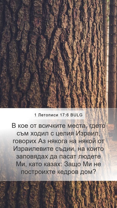 1 Летописи 17:6 BULG Bible Verse Image