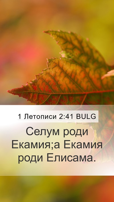 1 Летописи 2:41 BULG Mobile Phone Wallpaper - Селум роди Екамия;а Екамия - Mobile Bible Verse Wallpaper