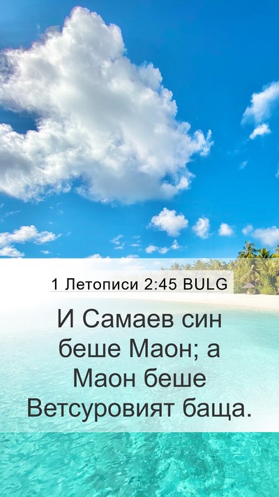 1 Летописи 2:45 BULG Bible Verse Image