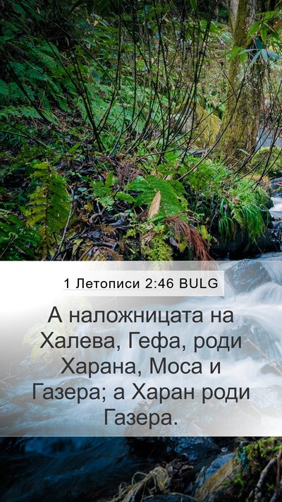 1 Летописи 2:46 BULG Bible Verse Image